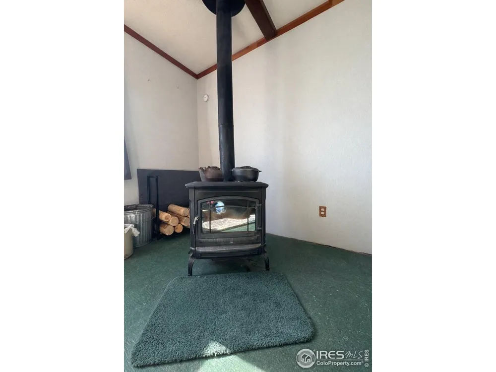 170 Logan Street Walden, CO 80480