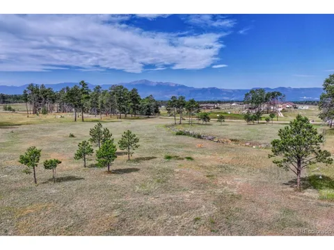 4 Forest Heights Circle