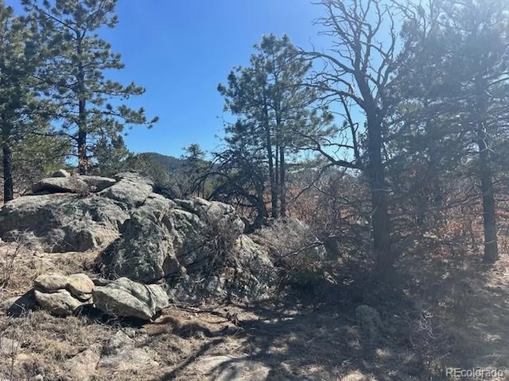 98 Discovery Drive Westcliffe, CO 81252