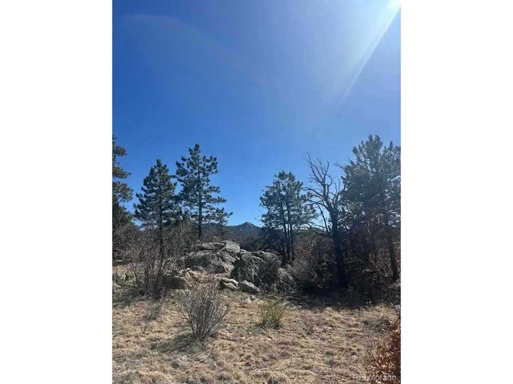 98 Discovery Drive Westcliffe, CO 81252