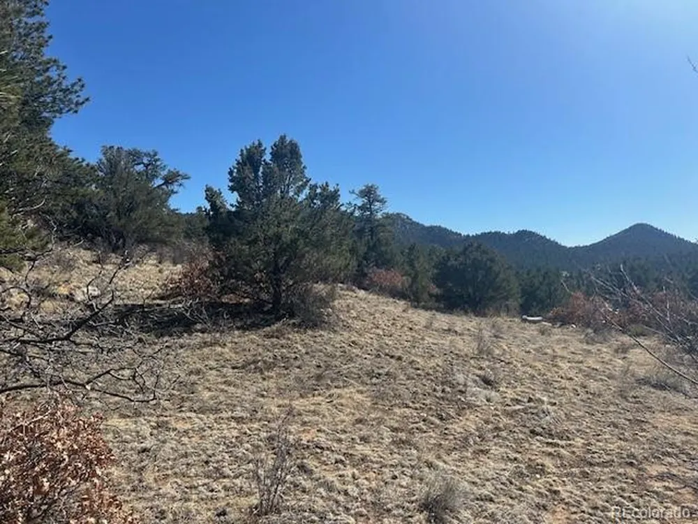 98 Discovery Drive Westcliffe, CO 81252