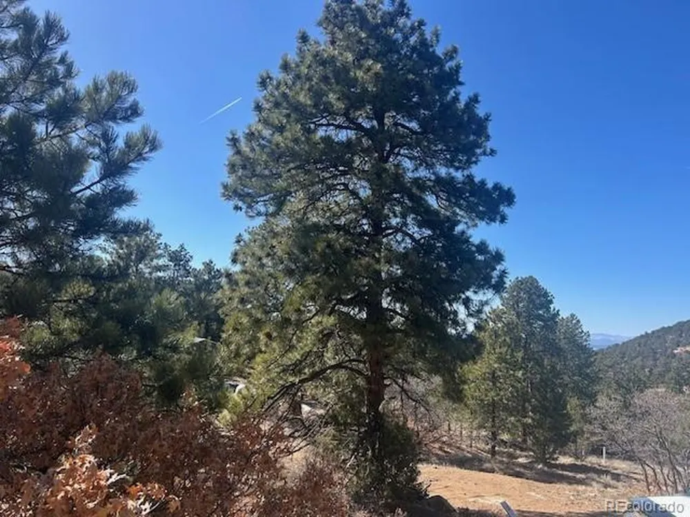 98 Discovery Drive Westcliffe, CO 81252