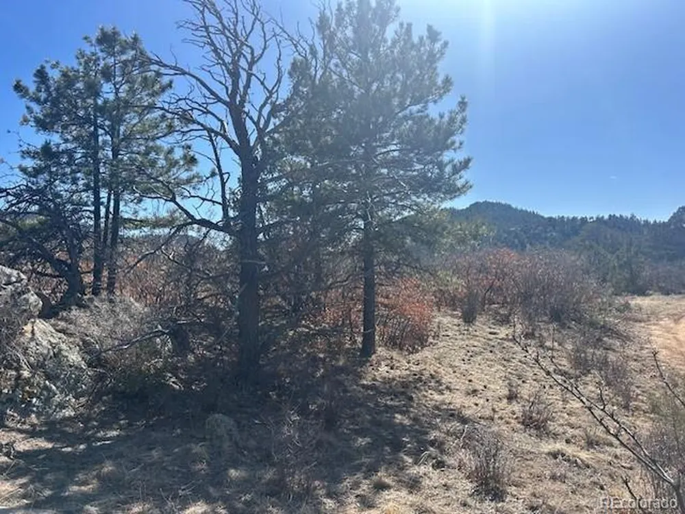 98 Discovery Drive Westcliffe, CO 81252