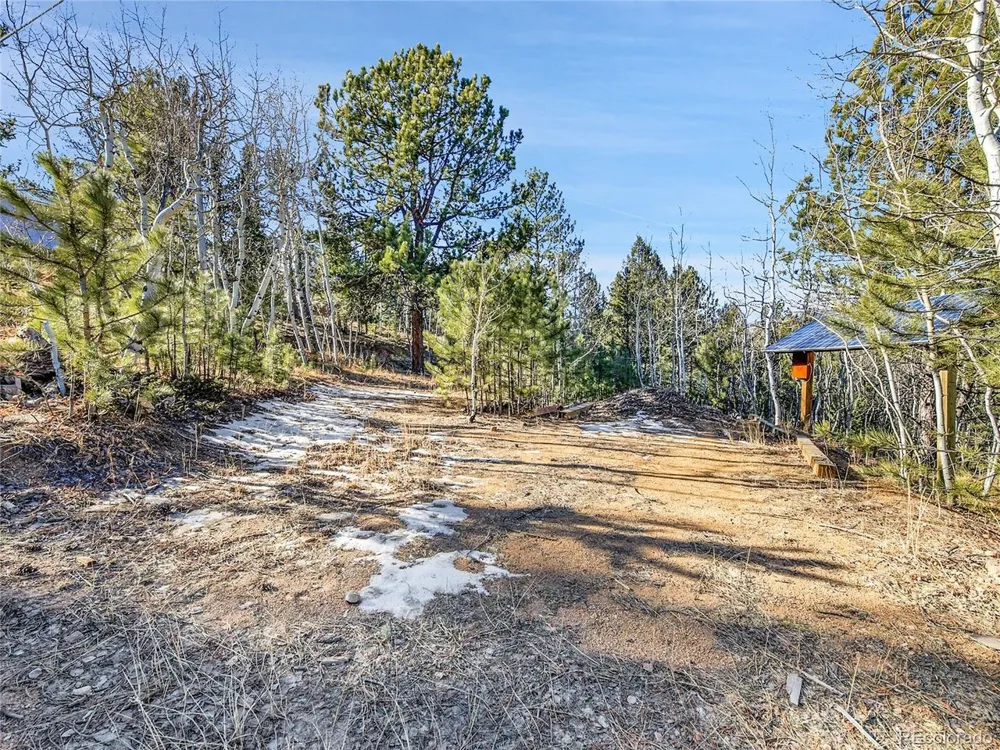 10 Bartimous Road Bailey, CO 80421