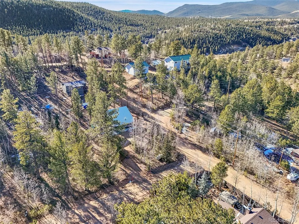 10 Bartimous Road Bailey, CO 80421