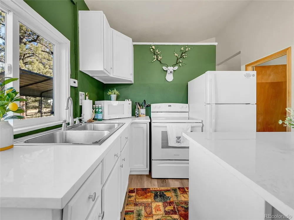 10 Bartimous Road Bailey, CO 80421