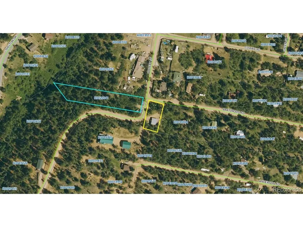 10 Bartimous Road Bailey, CO 80421