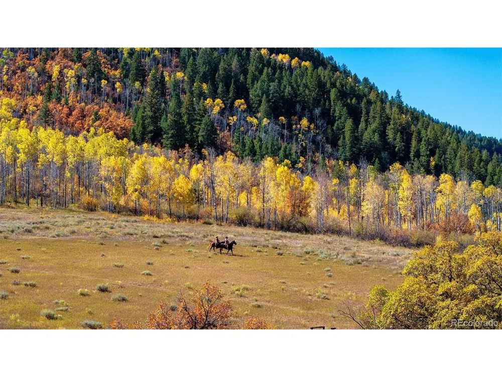 30680 County Road 12 Somerset, CO 81434