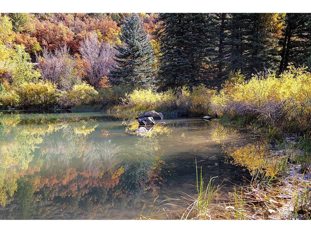 30680 County Road 12 Somerset, CO 81434