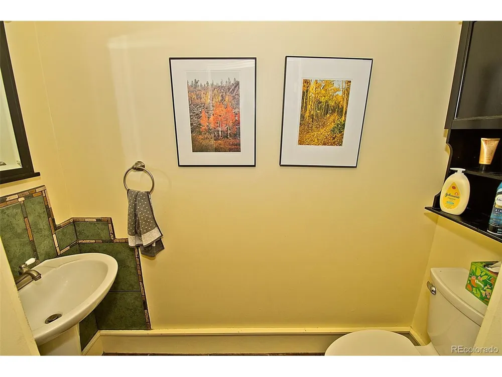 1552 Camino Real Crestone, CO 81131
