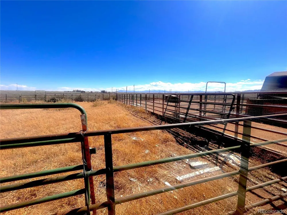 10850 County Road 45 Center, CO 81125