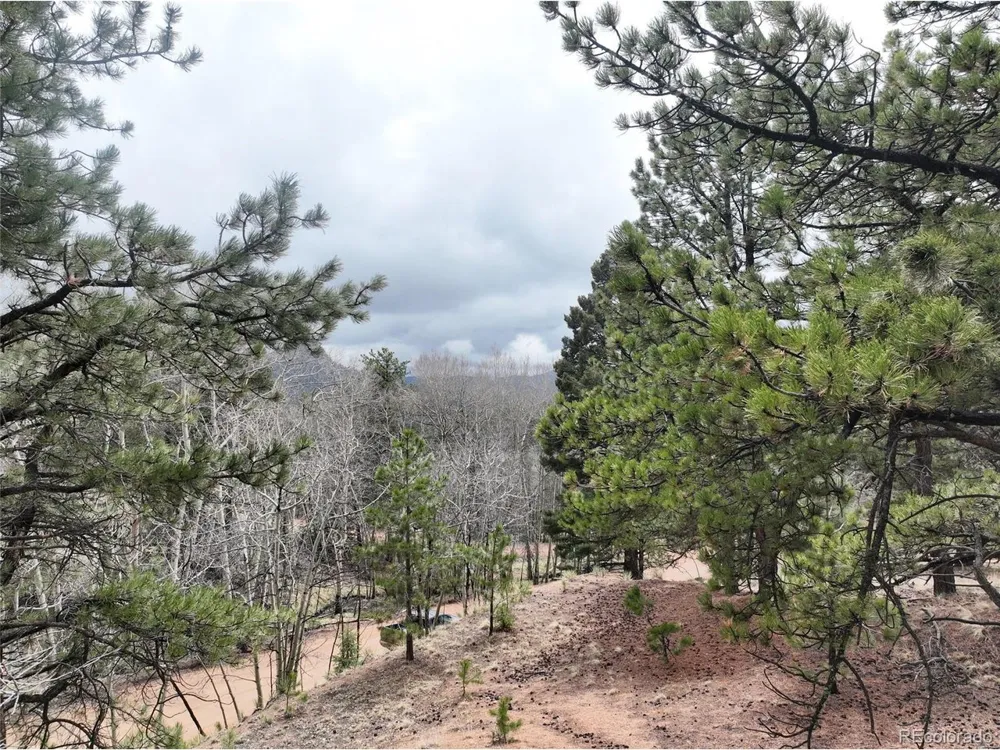 255 Pinon Lane Florissant, CO 80816