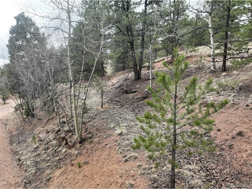 255 Pinon Lane Florissant, CO 80816