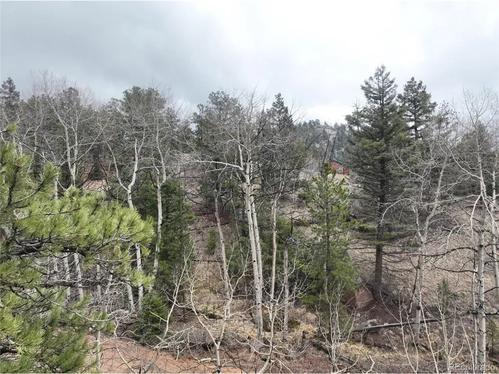 255 Pinon Lane Florissant, CO 80816
