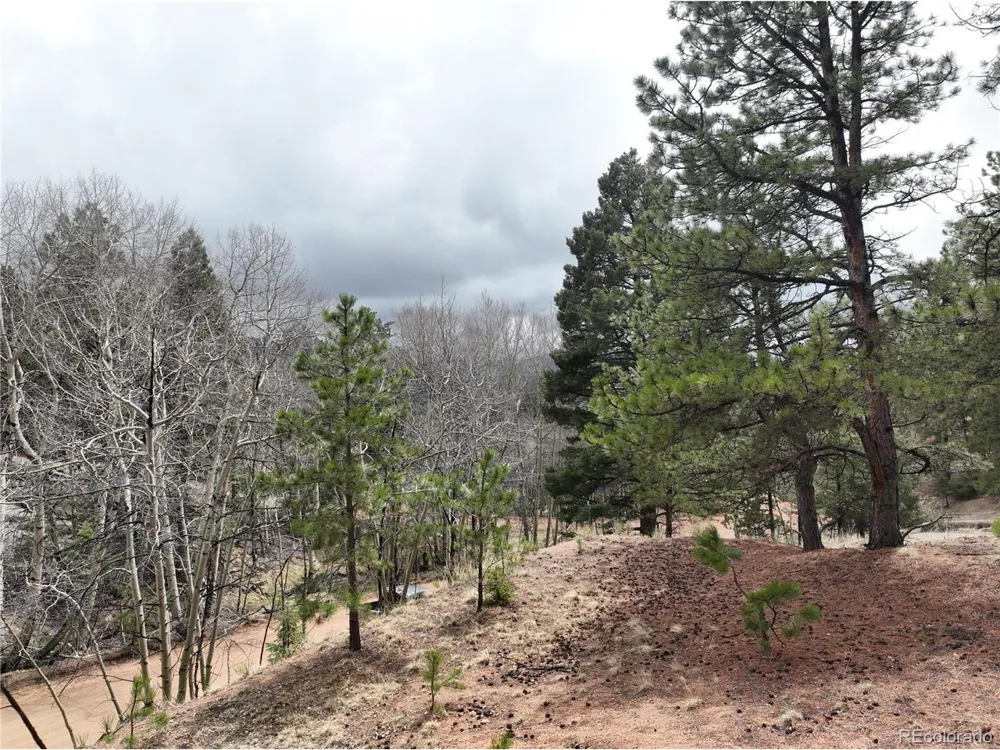 255 Pinon Lane Florissant, CO 80816
