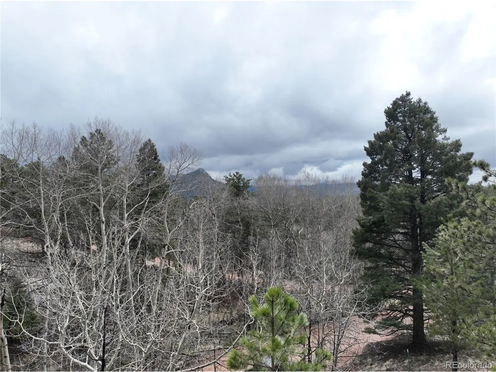 255 Pinon Lane Florissant, CO 80816