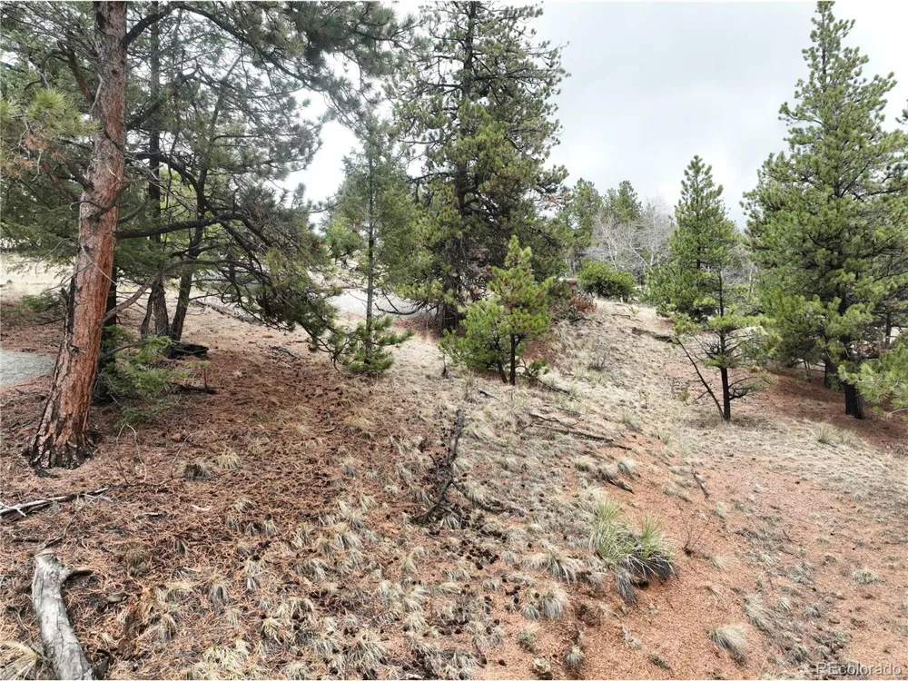 255 Pinon Lane Florissant, CO 80816