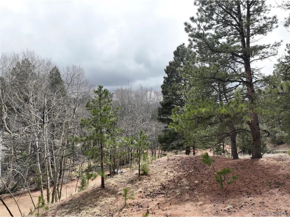255 Pinon Lane Florissant, CO 80816