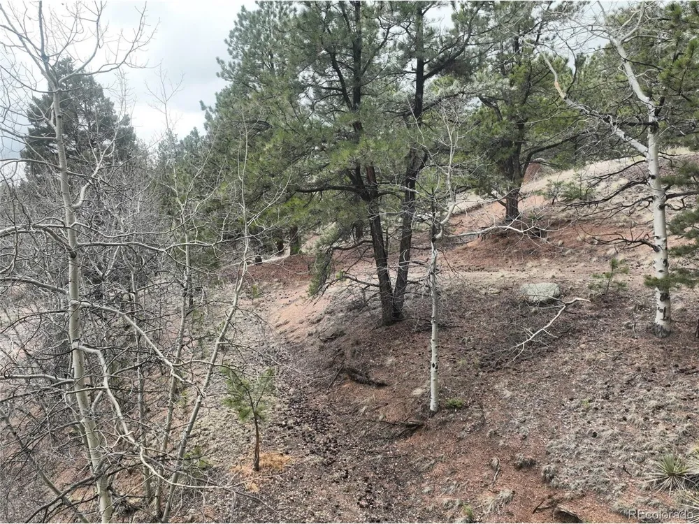 255 Pinon Lane Florissant, CO 80816