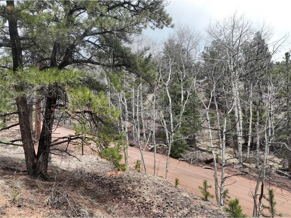 255 Pinon Lane Florissant, CO 80816