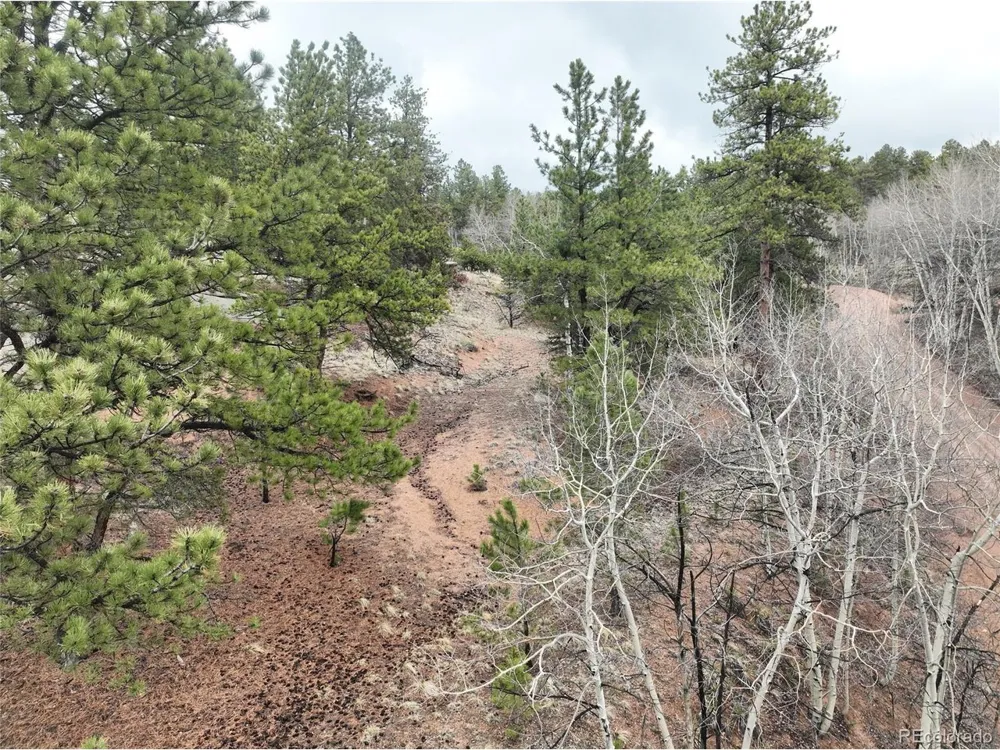 255 Pinon Lane Florissant, CO 80816