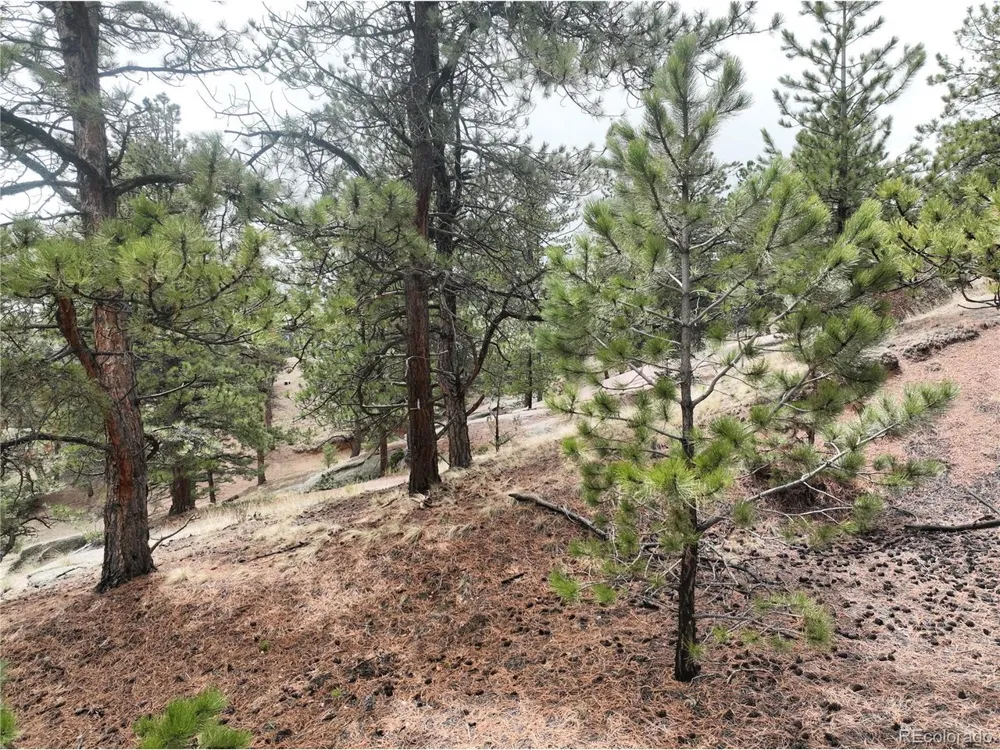 255 Pinon Lane Florissant, CO 80816