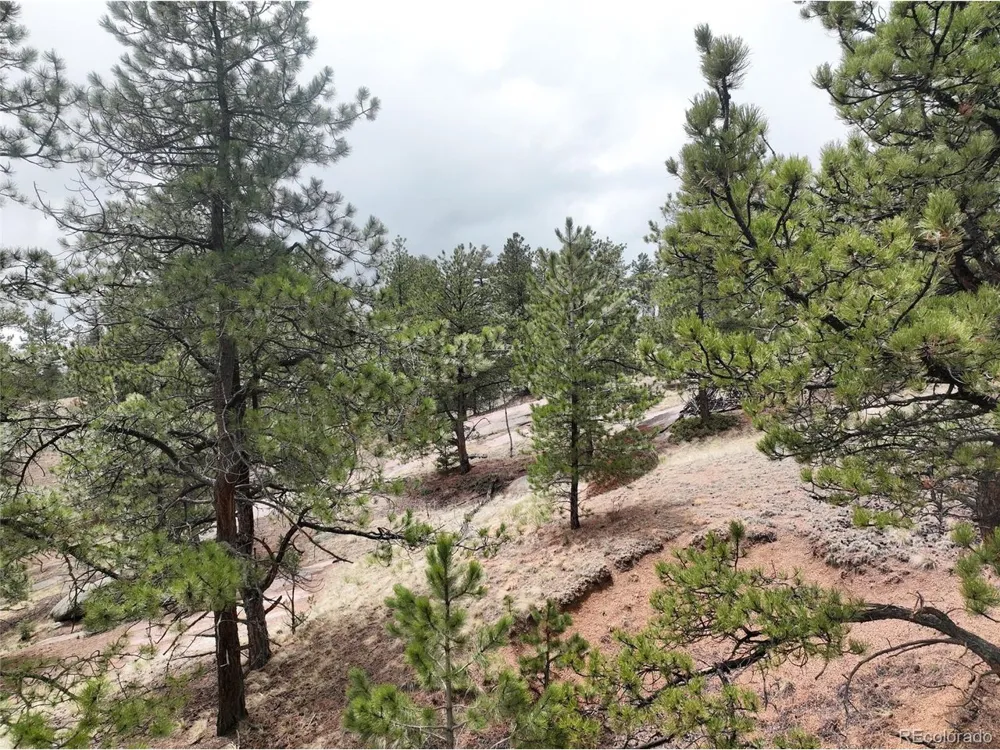 255 Pinon Lane Florissant, CO 80816