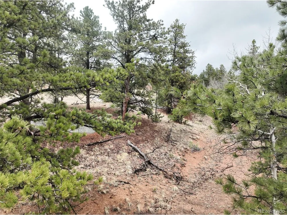 255 Pinon Lane Florissant, CO 80816