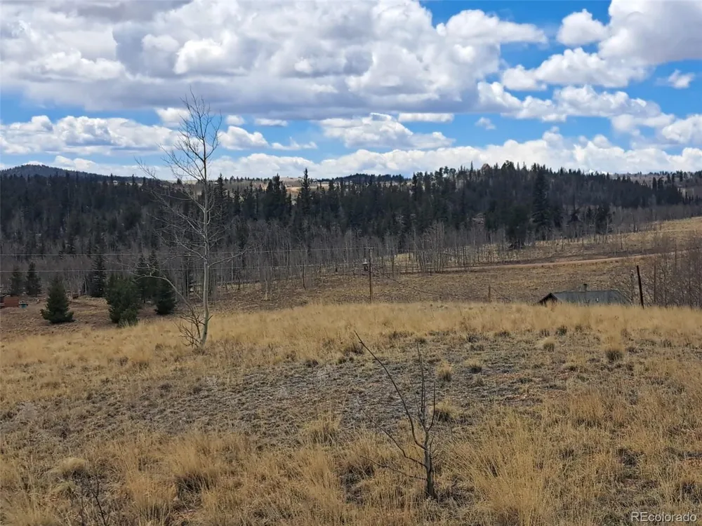499 Kiowa Street Como, CO 80432