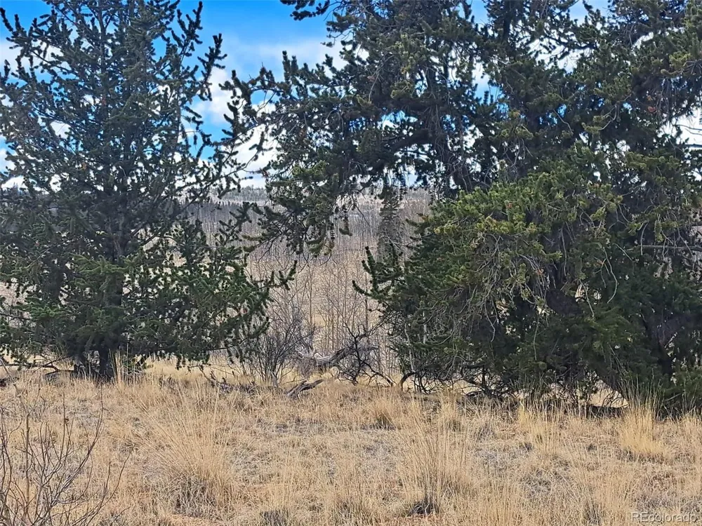 499 Kiowa Street Como, CO 80432