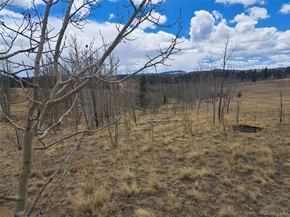 499 Kiowa Street Como, CO 80432