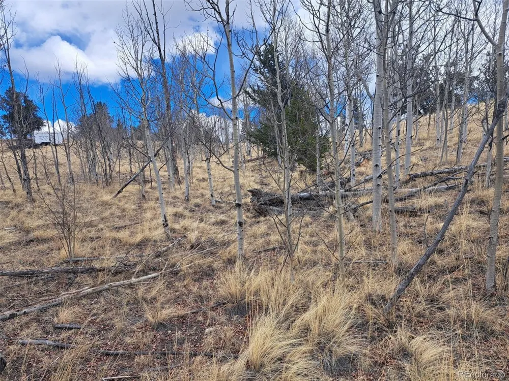 499 Kiowa Street Como, CO 80432