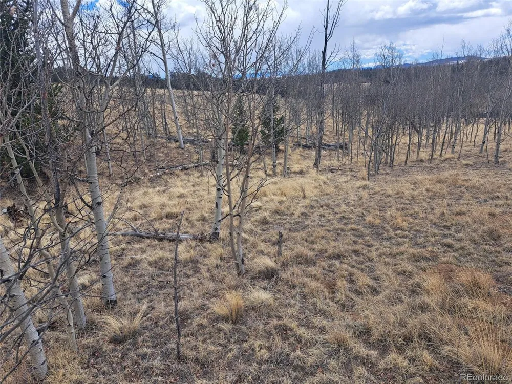499 Kiowa Street Como, CO 80432