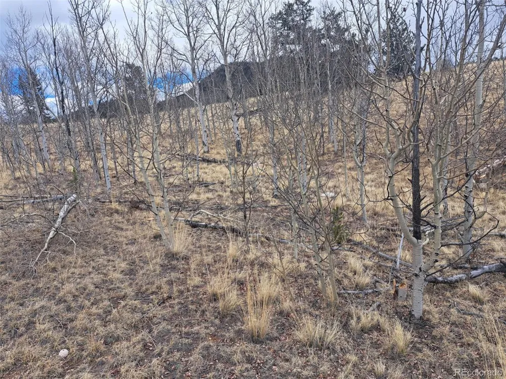 499 Kiowa Street Como, CO 80432