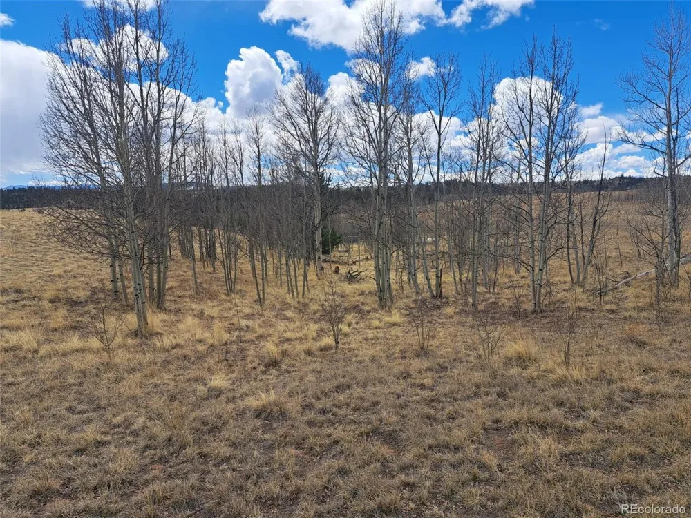 499 Kiowa Street Como, CO 80432
