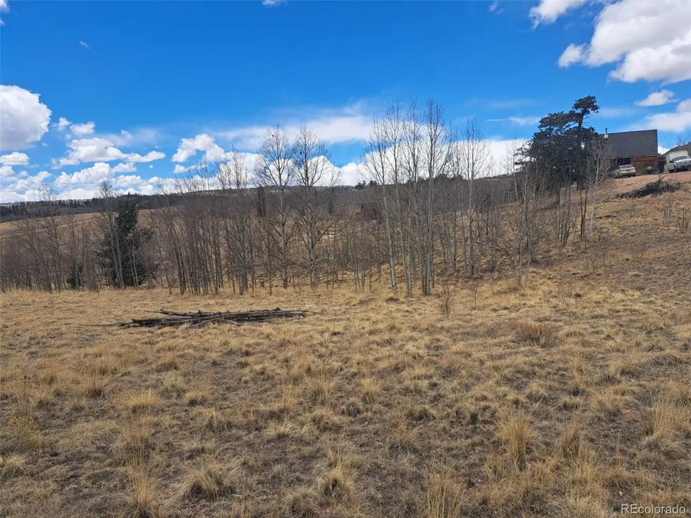 499 Kiowa Street Como, CO 80432