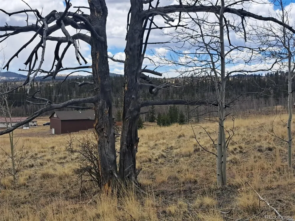 499 Kiowa Street Como, CO 80432