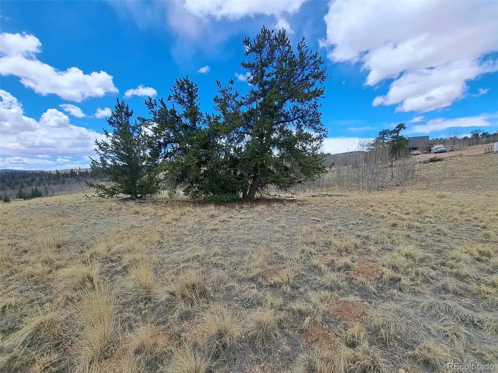 499 Kiowa Street Como, CO 80432