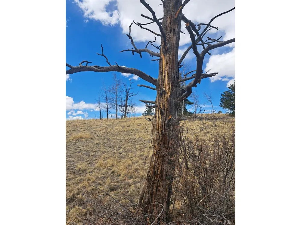 0 Kiowa Street Como, CO 80432