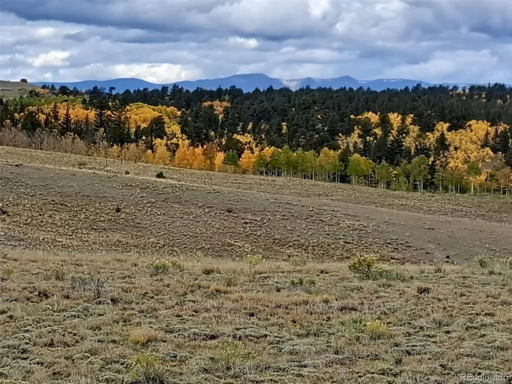1825 Rhyolite Drive Como, CO 80432