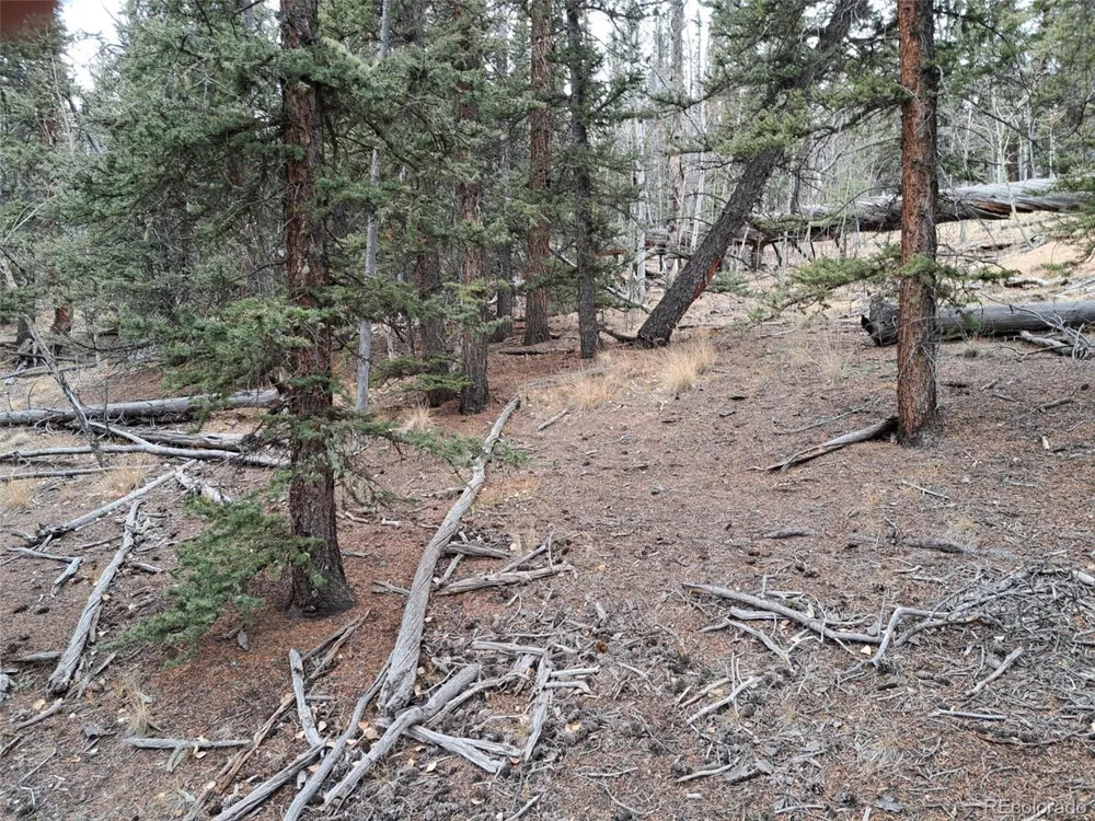 210 Tepee Trail Como, CO 80432