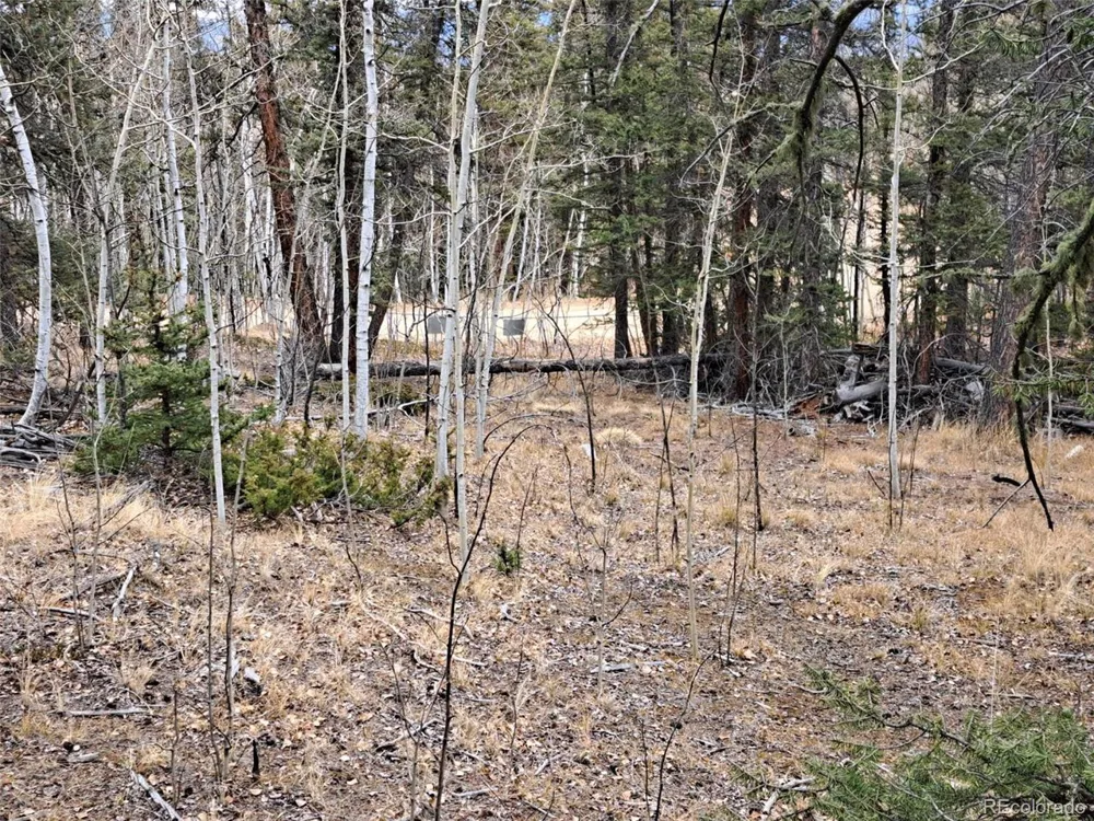210 Tepee Trail Como, CO 80432