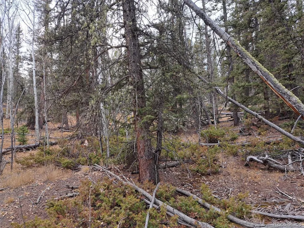 210 Tepee Trail Como, CO 80432