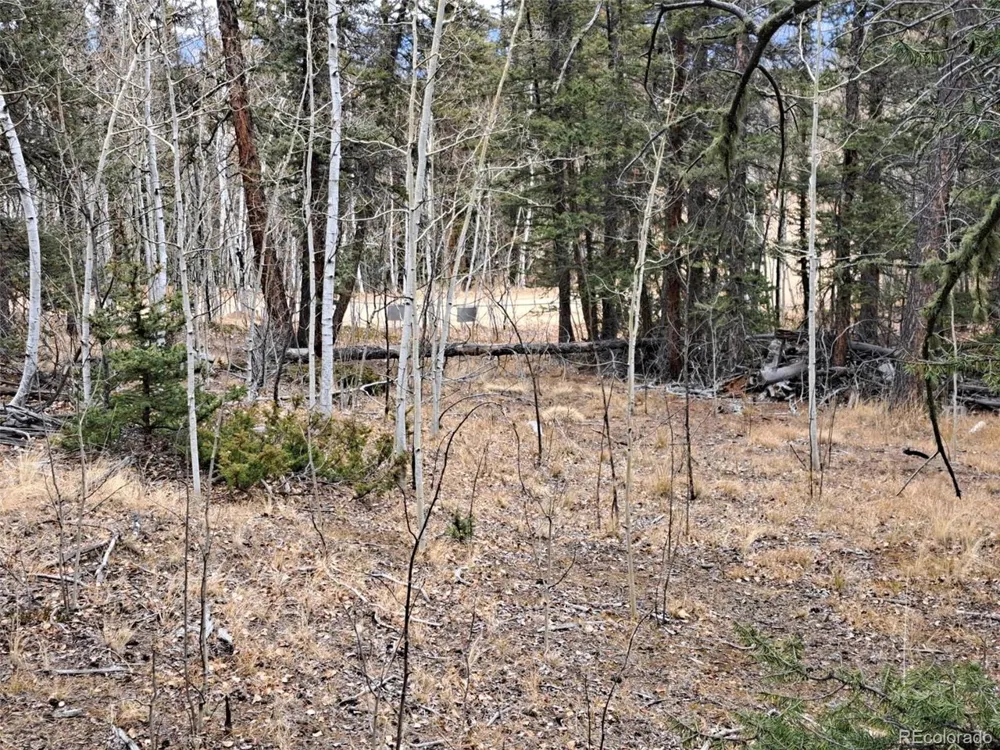 210 Tepee Trail Como, CO 80432
