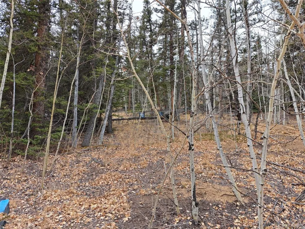 210 Tepee Trail Como, CO 80432
