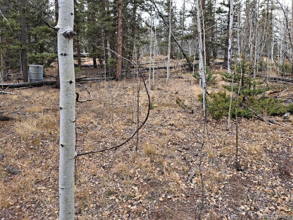 210 Tepee Trail Como, CO 80432
