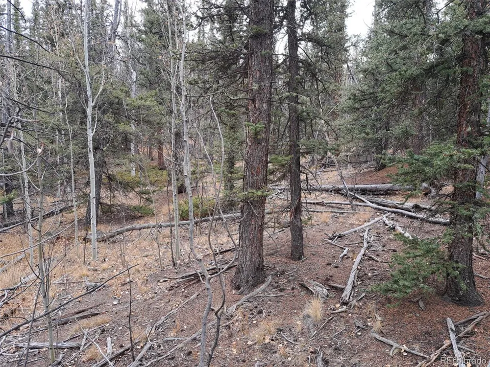 210 Tepee Trail Como, CO 80432