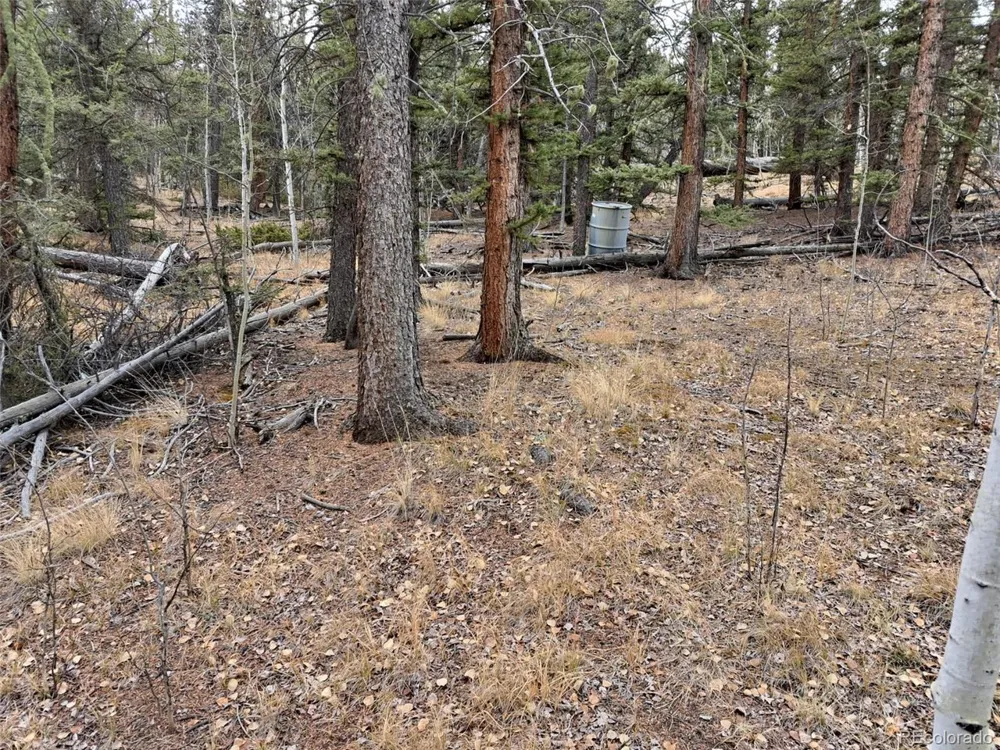 210 Tepee Trail Como, CO 80432