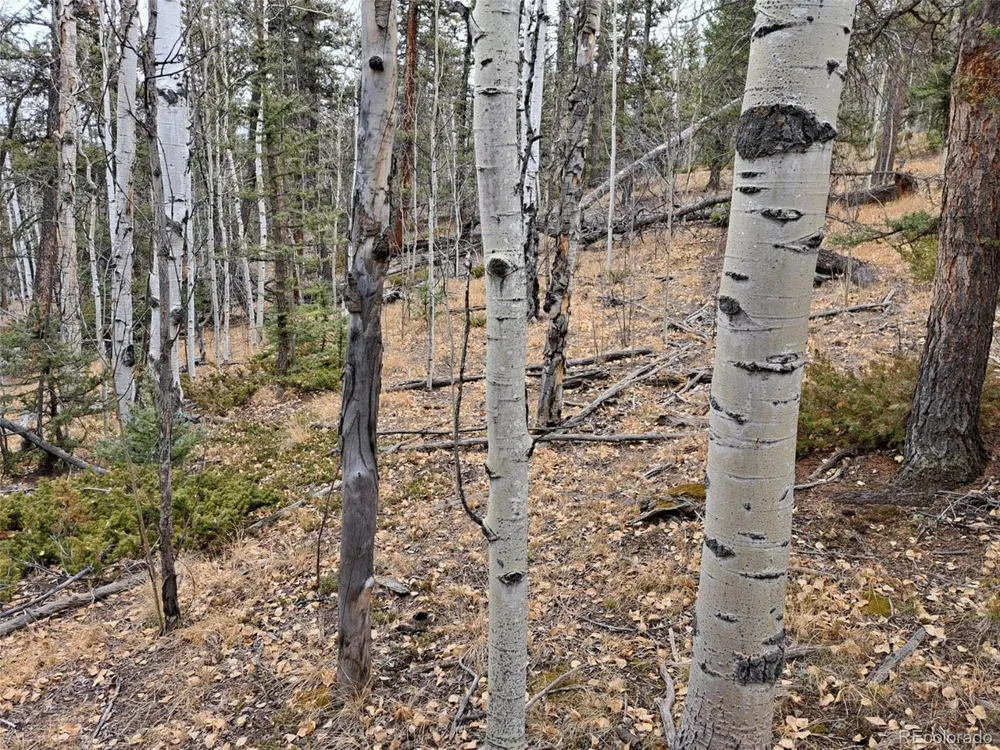210 Tepee Trail Como, CO 80432