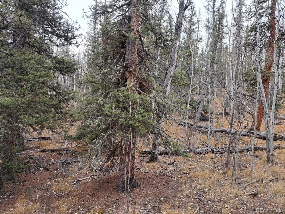 210 Tepee Trail Como, CO 80432